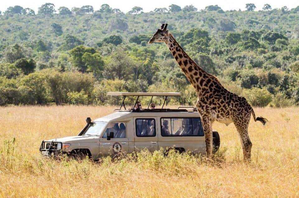 destination